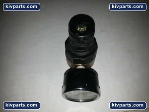 Watts R164-02BK Fluidair Air Pressure Regulator – actual item, photo 4 of 4