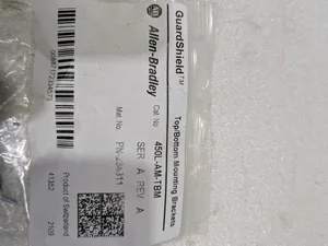 Allen-Bradley 450L-AM-TBM Safety Relay