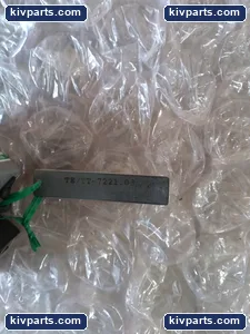 TL21C RTD Temperature Transmitter – actual item, photo 3 of 5
