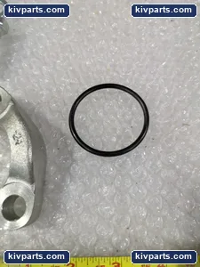 LDI Industries 24SF-0 Hydraulic Cylinder – actual item, photo 4 of 6