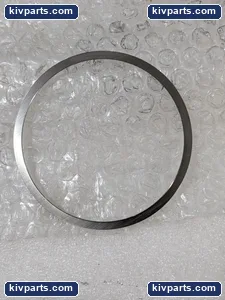 BW 664746DB Seal – actual item, photo 4 of 6
