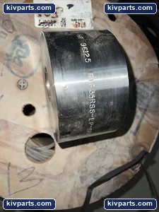 Champion 35RSS-LP-SPR-V FVC Stainless Wafer Check Valve – actual item, photo 3 of 5