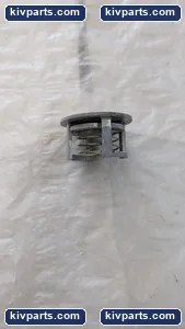 GBN23619G2 Meter Check Valve – actual item, photo 2 of 4