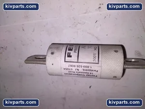 Ferraz Shawmut A050F100 Protistor Fuse – actual item, photo 4 of 5