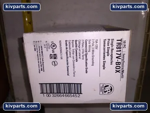 Cooper TR817V-BOX Ivory Single Receptacles – actual item, photo 5 of 6