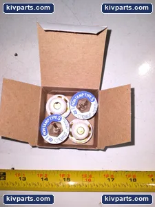 Gould GSL15 Plug Fuse – actual item, photo 3 of 6