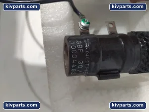 Danotherm 10004462 Charging Power Resistor – actual item, photo 2 of 3