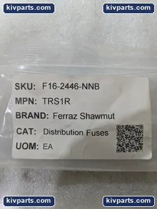 Mersen TRS1R Fuse – actual item, photo 2 of 6
