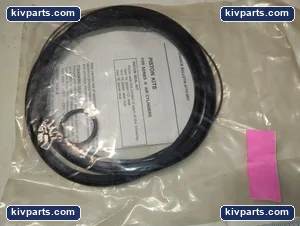 Atlas Cylinders 25-766-5185 Cylinder Piston Seal – actual item, photo 3 of 4