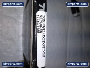 45X62X9TC-BX Dichtomatik TCM – actual item, photo 4 of 7