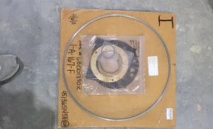Hrtl 161-F Gasket – actual item, photo 1 of 5