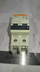 Square D C2A Miniature Circuit Breaker