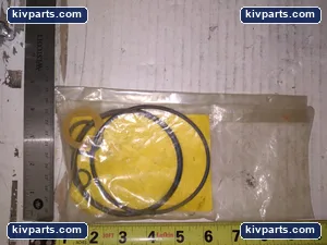 15400160100 Door Cylinder Seal – actual item, photo 3 of 4