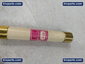 Bussmann RES-6 Lag Renewable Cartridge Fuse – actual item, photo 2 of 7