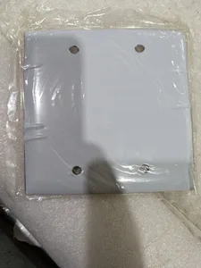 Hubbell SS23 Receptacle – actual item, photo 1 of 4