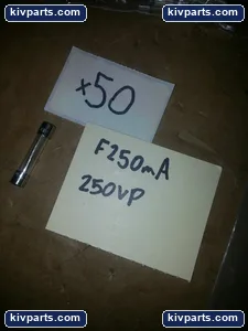 Littelfuse 313.250 Fuse – actual item, photo 2 of 2