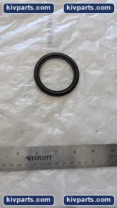 FE407493002 EZ-Fit Gasket – actual item, photo 2 of 3