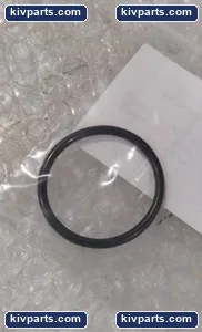 IMI CCI 2-RO Black Elastomer Control Valve – actual item, photo 3 of 4