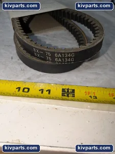 Dayton 6A134G Premium Belt – actual item, photo 3 of 4