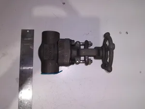 Powell A105 Forged Steel Gate Valve