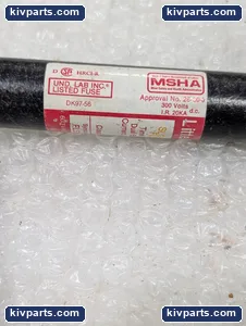 Littelfuse Flsr 35 SLO BLO Fuse – actual item, photo 2 of 4