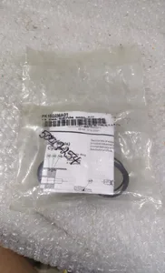 Maghetic 0995-M12 Parker Piston Seal