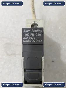 Allen-Bradley 1492-FB1C30 Fuse Holder – actual item, photo 4 of 6