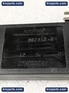Reliance Electric 45C166 PLC Dual Contact Output Module – actual item, photo 2 of 6