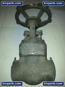 Crane Y6261305146 Gate Valve – actual item, photo 3 of 7