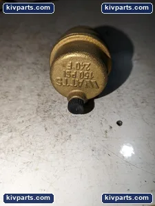 Watts 4A821 Filter – actual item, photo 2 of 6