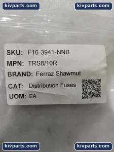 Mersen Gould TRS Time Delay Fuse – actual item, photo 2 of 7