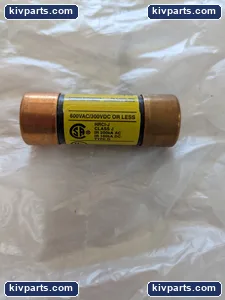Bussmann LPJ-6SP Low-Peak Dual Element – actual item, photo 3 of 4