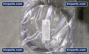 ORs-com LLO1981 Lamons R37 Ring Joint Gasket – actual item, photo 3 of 4