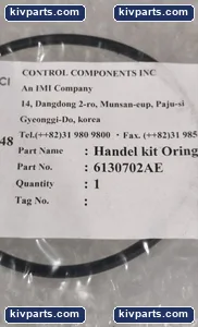 Gyeonggi-Do S100004G O-Ring Seal Black Control Valve – actual item, photo 2 of 4