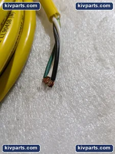 Brad 1300060557 Connectivity Male Straight Cord – actual item, photo 4 of 6