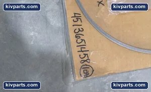 Hrtl 161-F Gasket – actual item, photo 3 of 5