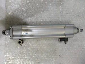 Festo DSBC-40-125-PPSA-N3 Air Cylinder – actual item, photo 1 of 5