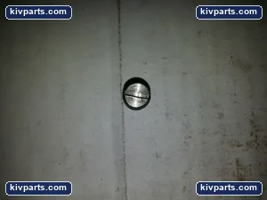 Flowserve 6021969 Stainless Steel Valve – actual item, photo 3 of 4