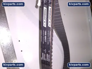Gates Belt – actual item, photo 2 of 4