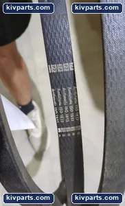 Antlslotle PAPO1-C Belt – actual item, photo 2 of 4
