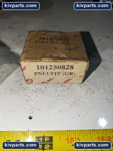 101250828 Pneufit BSP – actual item, photo 2 of 3