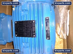 WEG 00118XT3ER143TC NEMA Premium – actual item, photo 2 of 5