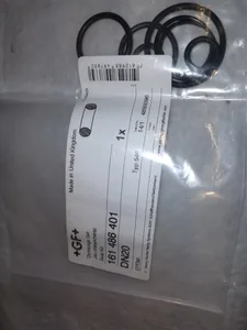 GF DN20 Valve