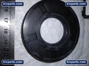 30X65X10SC-BX Dichtomatik TCM – actual item, photo 3 of 4