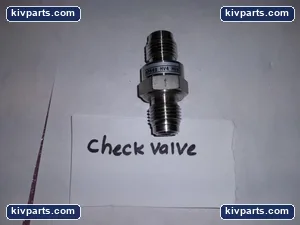 AP64S Stainless Steel Check Valve – actual item, photo 4 of 5