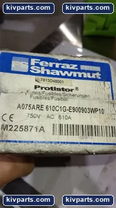 Mersen 7813D48001 Fuse – actual item, photo 2 of 5