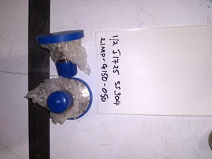 Glacier 55304