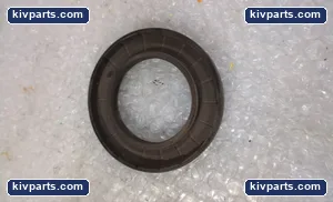 TCM 99LE-IS Rotary Shaft Oil Seal – actual item, photo 2 of 4