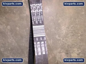 Gates Industrial Timing Belt – actual item, photo 2 of 3