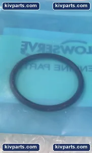 CCN B21692-22-01 O-Ring – actual item, photo 3 of 4